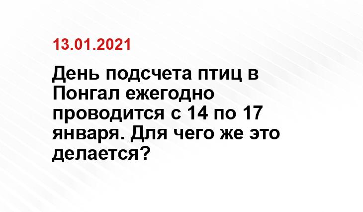 gazeta.ru