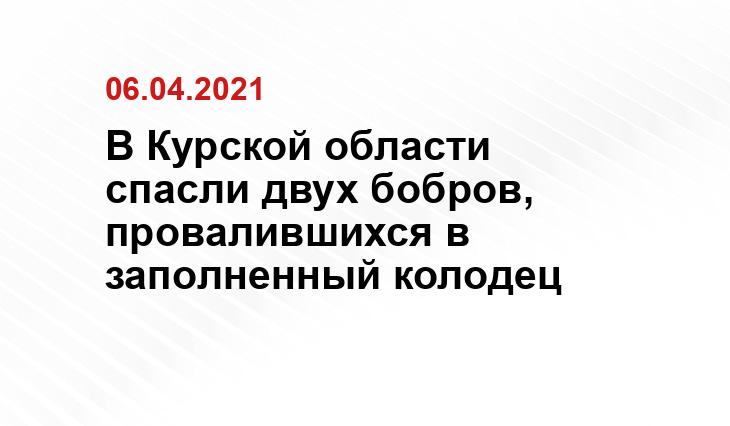 Михаил Шевляков