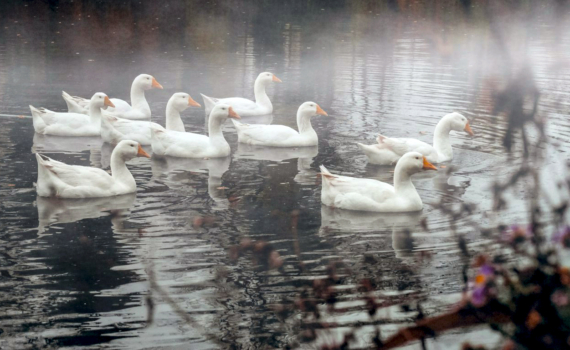 Правда, которую вы должны узнать: Таро-послание на неделю с 17 по 23 ноября для всех знаков Зодиака Правда, которую вы должны узнать: Таро-послание на неделю с 17 по 23 ноября для всех знаков Зодиака