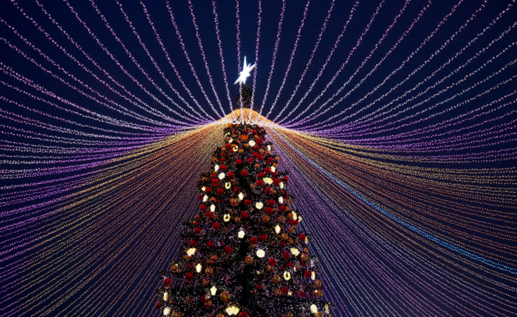 Почему через неделю после Нового года хочется плакать: как пережить дофаминовую яму Почему через неделю после Нового года хочется плакать: как пережить дофаминовую яму