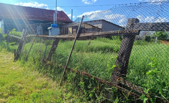 Сорняки под прицелом: за что теперь могут изъять дачный участок Сорняки под прицелом: за что теперь могут изъять дачный участок